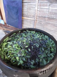 Cotton skein in the earthenware vat with the fermenting leaves. 